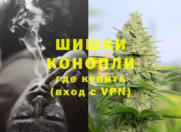 apvp Белокуриха