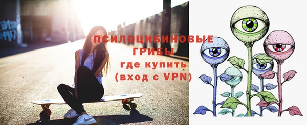 apvp Белокуриха