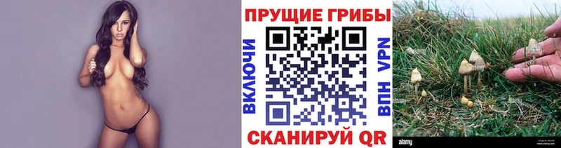 Псилоцибиновые грибы MAGIC MUSHROOMS купить Карабулак